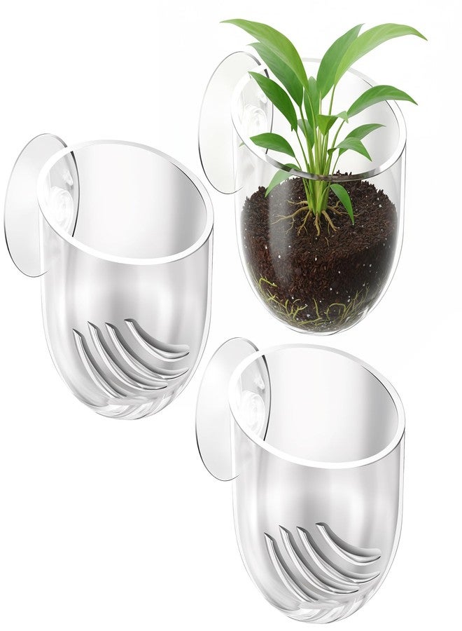 Eldraqth 3 Pack Aquarium Plant Holder Clear Fish Tank Plant Holder Fishes Tanks Plants Pot Acrylic Aquarium Planter Cup with Suction Cups for Home Aquariums Aquascape Decor, Red Worm Fish Shrimp Feeder - Image 1